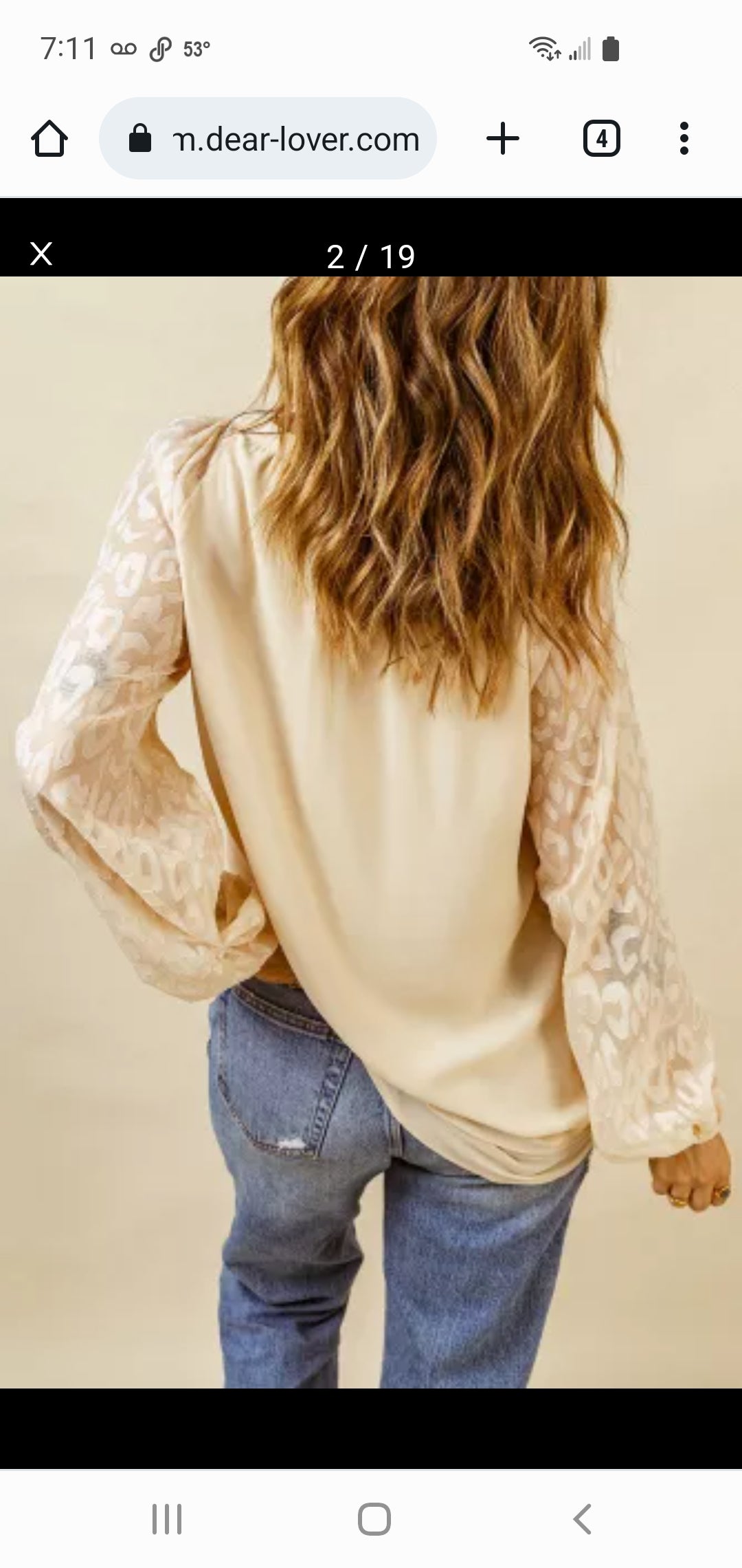 Beige Leopard Mesh Bubble Sleeve Split Neck Blouse